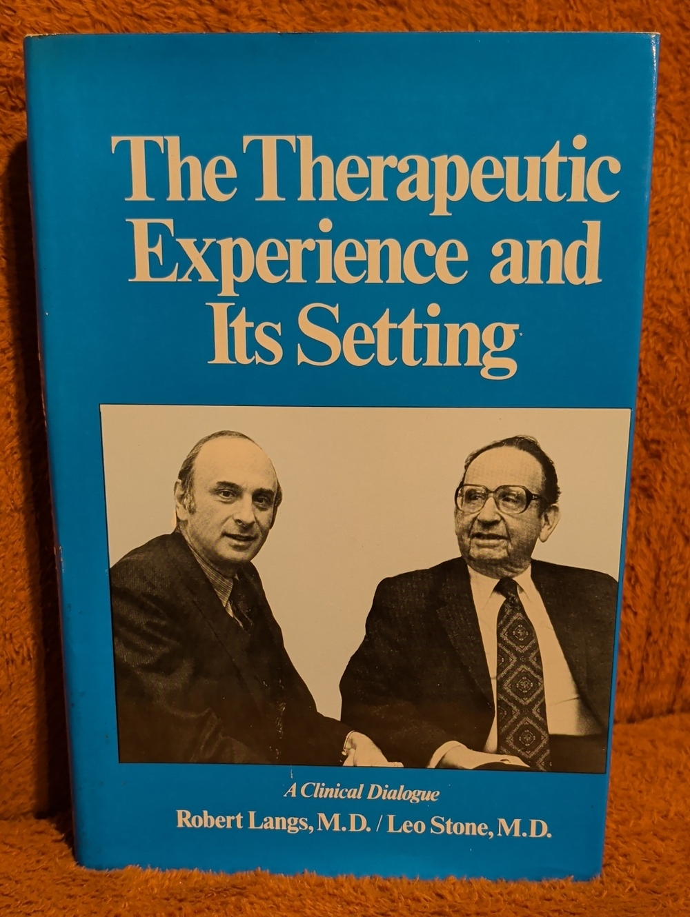 The Therapeutic Experience and Its Setting - Hardcover